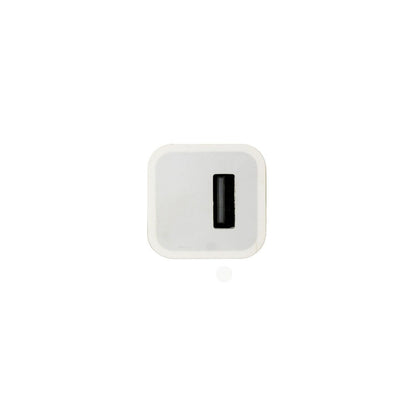 iPhone 1 Amp Adapter - Compact and Efficient Charging Solution
